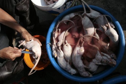 ����� �� ����