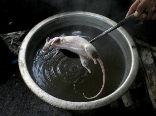 ����� �� ����