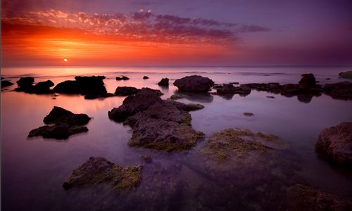 ����-�������