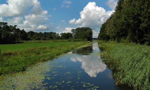 ����-�������