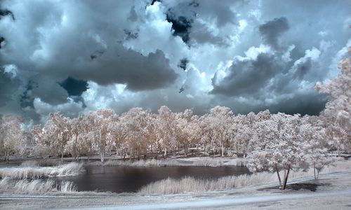 ����-�������