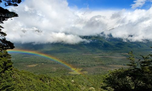 ����-�������