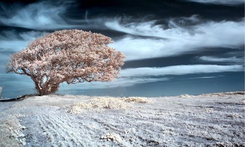 ����-�������