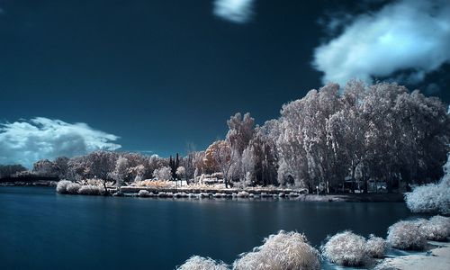 ����-�������