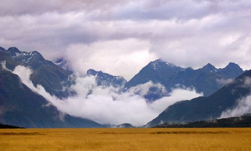 ����-�������