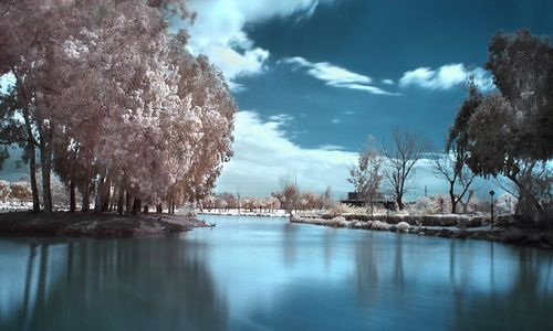 ����-�������