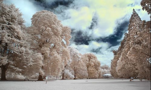 ����-�������