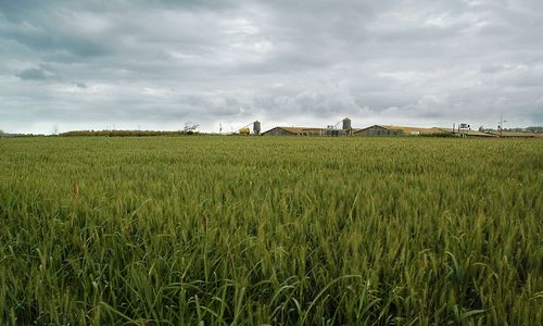 ����-�������