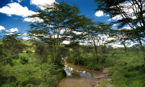 ����-�������