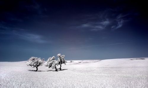 ����-�������