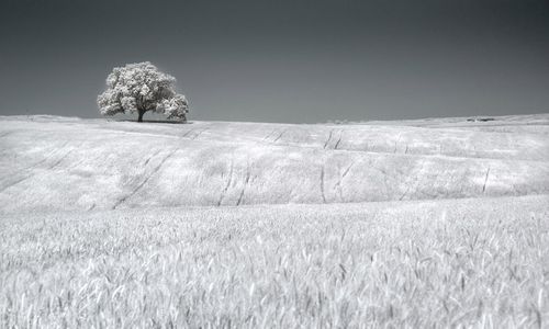 ����-�������