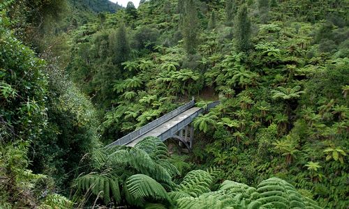 ����-�������