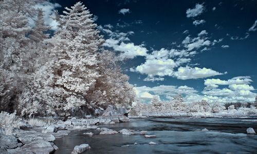 ����-�������