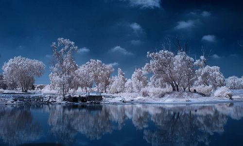 ����-�������