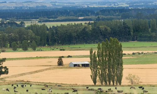 ����-�������