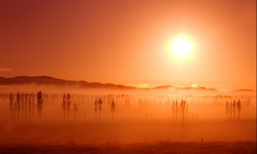 ����-�������