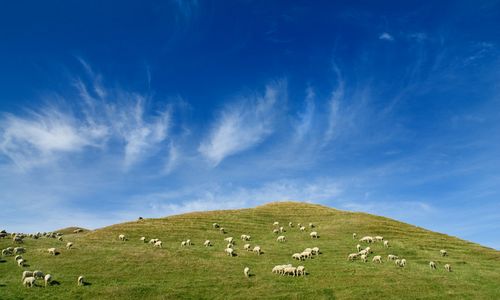 ����-�������