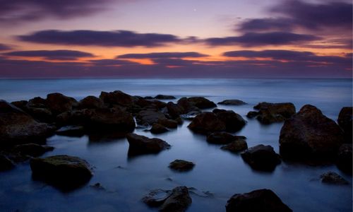 ����-�������