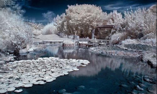 ����-�������