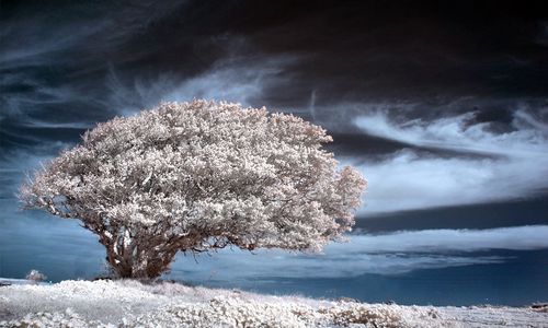 ����-�������