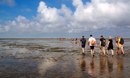 ����-�������