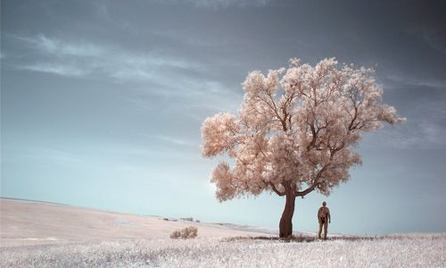 ����-�������