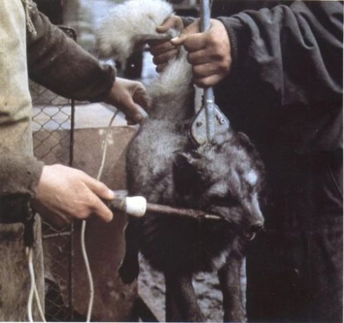 �� ��� ������ ����?!