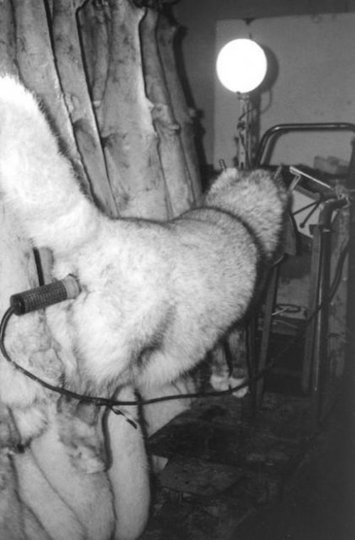 �� ��� ������ ����?!