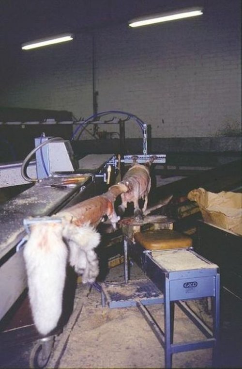 �� ��� ������ ����?!