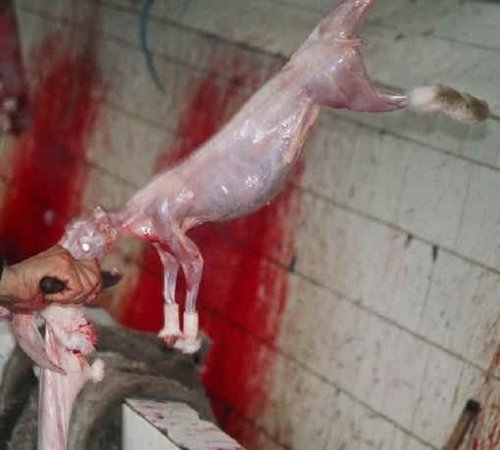 �� ��� ������ ����?!