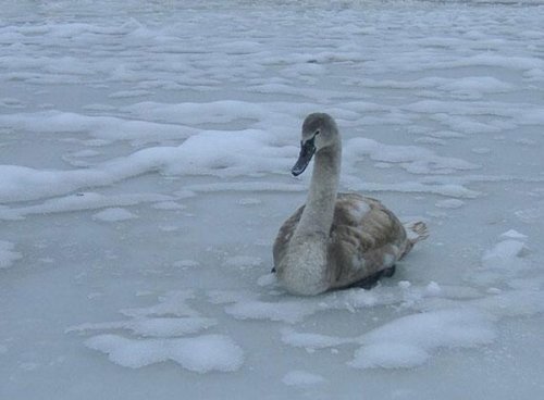 ������ � �����