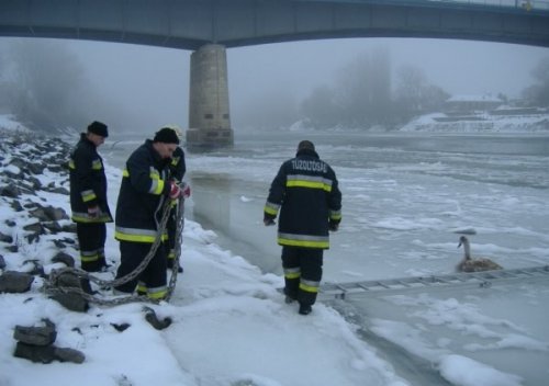 ������ � �����