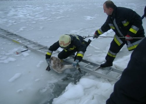 ������ � �����