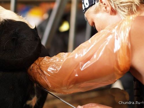 ��������������