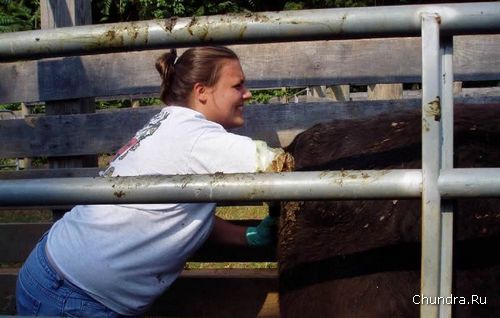 ��������������