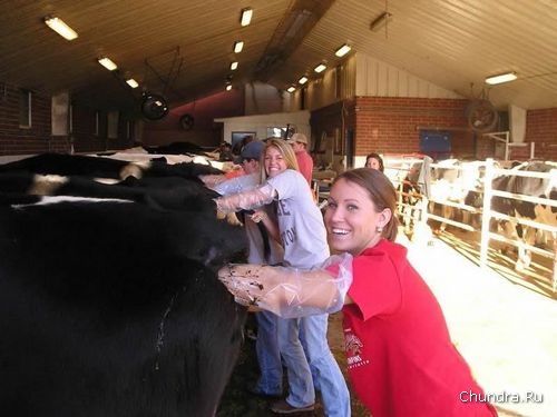 ��������������