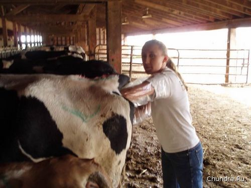 ��������������