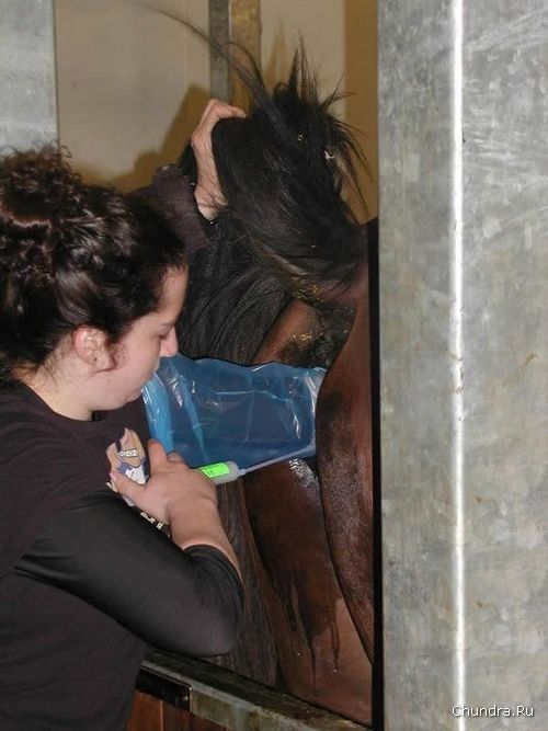 ��������������