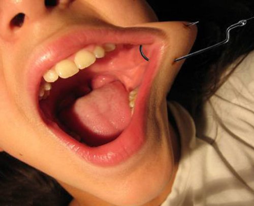 ��������� ����