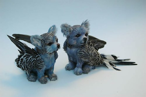 �������� ������