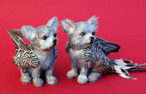 �������� ������