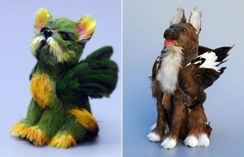 �������� ������