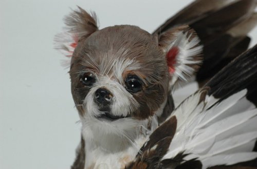 �������� ������