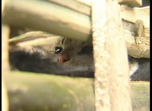 ����� �� ����