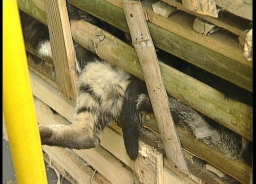 ����� �� ����