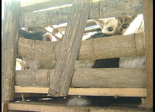 ����� �� ����