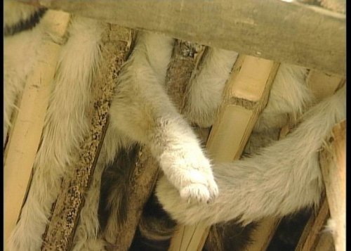 ����� �� ����