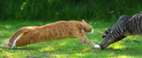 ������� �����