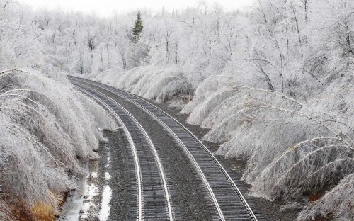 ������� ���������