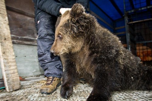 ����������-����������